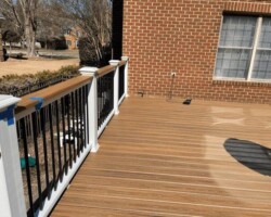 Havana Gold Trex 099999