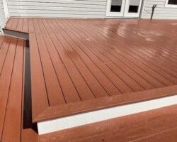 Redwood Wolf 4367589