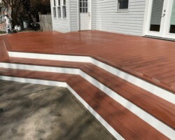 Redwood Wolf 9796785