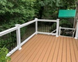 Trex Beach Dune Pics 1 e1617375931339