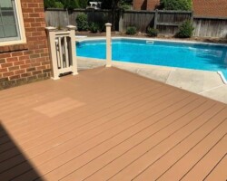 Trex Beach Dune Pics 10