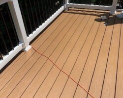 Trex Beach Dune Pics 11