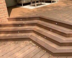 Trex Beach Dune Pics 13