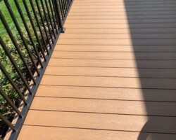 Trex Beach Dune Pics 2