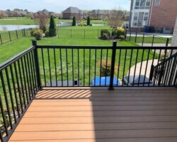 Trex Beach Dune Pics 3