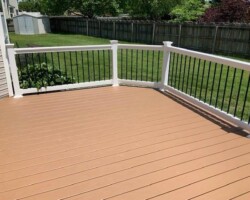 Trex Beach Dune Pics 4