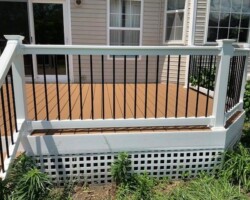 Trex Beach Dune Pics 5