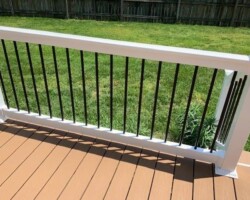 Trex Beach Dune Pics 6