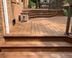 Trex Beach Dune Pics 9