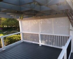 Trex Clam Gray Pics 1