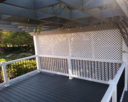 Trex Clam Gray Pics 1