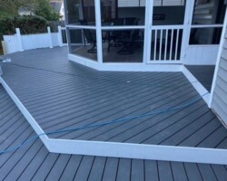 Trex Clam Gray Pics 3