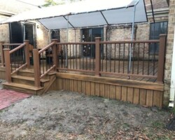 Trex Havana Gold Pics 1