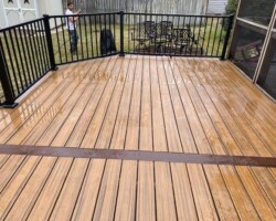 Trex Havana Gold Pics 4