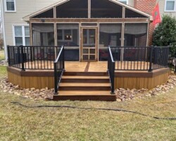 Trex Havana Gold Pics 5