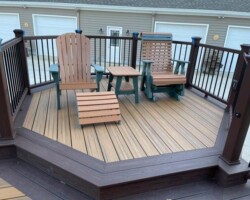 Trex Havana Gold Pics 7