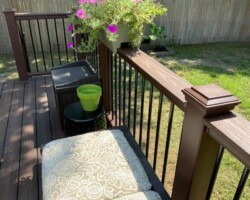 Trex Lava Rock Pics 2