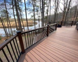 Trex Tiki Torch Pics 6